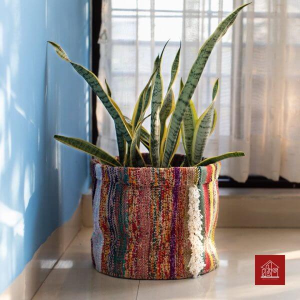 Multi Color Sharee Plant Pot Cover